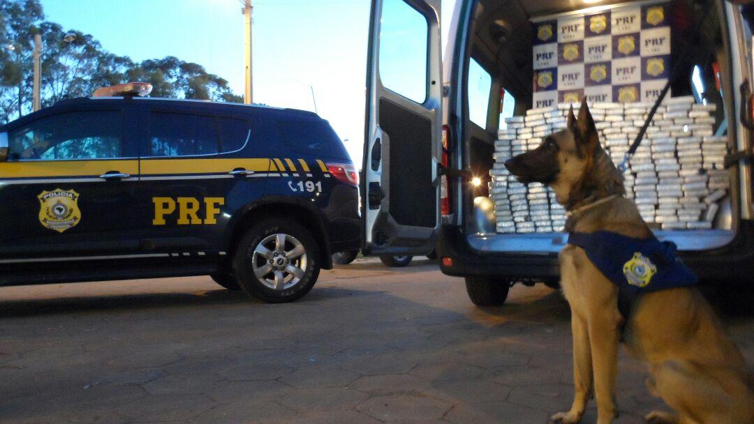 Cão farejador auxilia em apreensão de cocaína