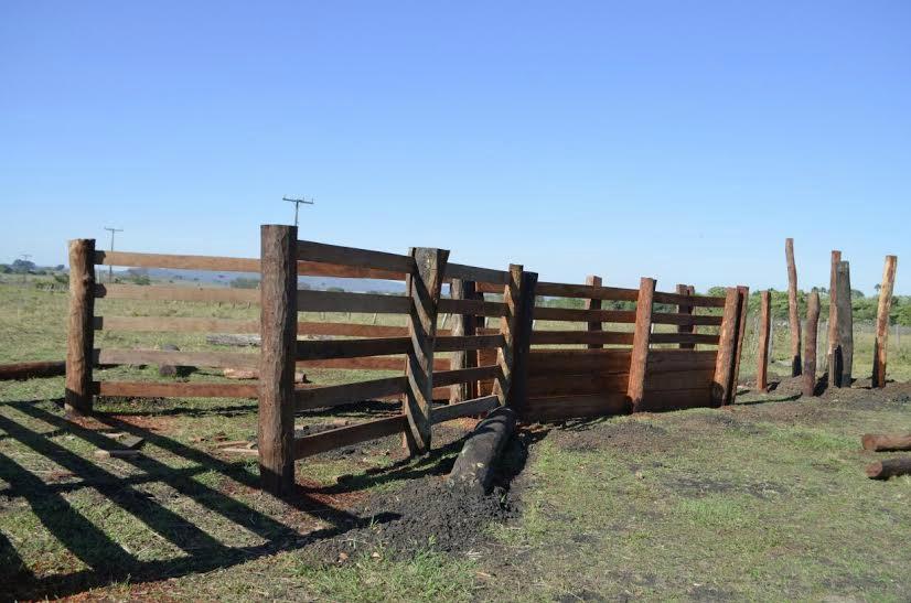 Produtor rural é autuado por exploração de madeira protegida por lei