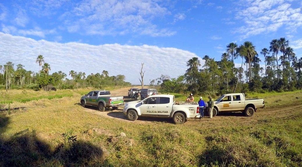 Operação Veredas retira três mil cabeças de gado de Área de Proteção Ambiental