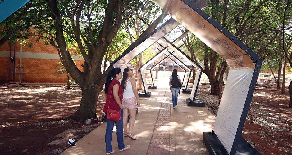 Exposição que festeja Manoel encanta na Capital