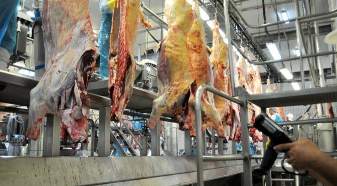 Coronavírus deve impactar o agronegócio em MS