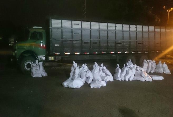 Polícia encontra 1,4t de maconha, arma e munições em caminhão