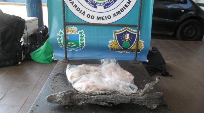 Turista da Bolívia é flagrado com carne de jacaré na BR-262 e acaba preso pela PMA