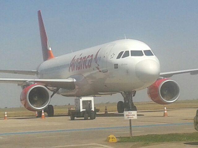 Pássaro em turbina faz avião voltar para pista na capital