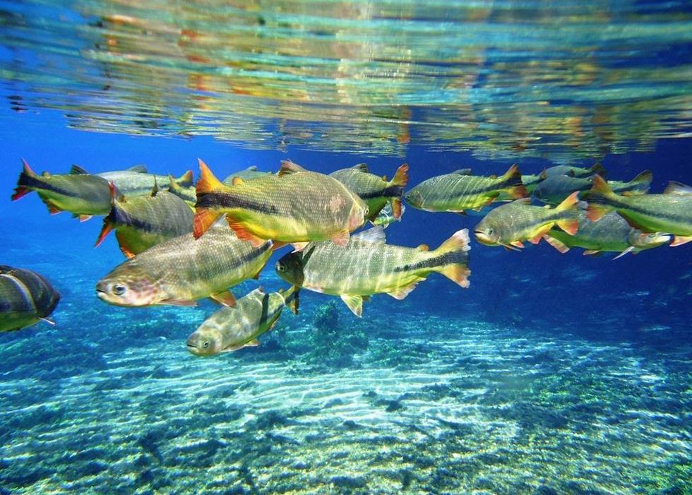 Jardim aparece em reportagem no caderno de turismo da Folha de São Paulo