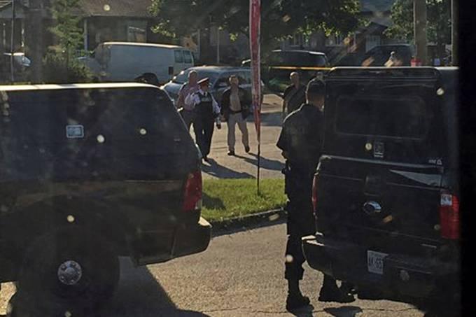 Polícia canadense mata lobo solitário que planejava ataque