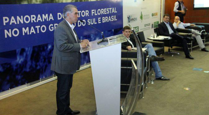 Governador destaca investimento em logística para crescimento do setor florestal em MS