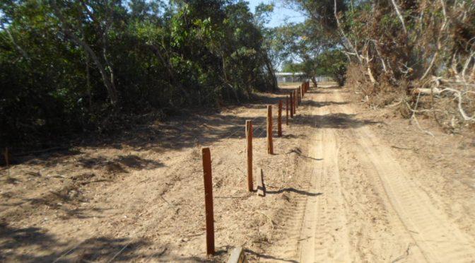 Desmatamento em APP no Pantanal gera multa de R$ 12,1 mil