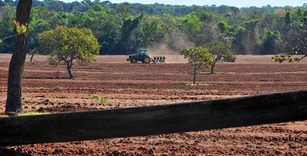 Produtores de MS já buscaram R$ 1bilhão para safra de verão