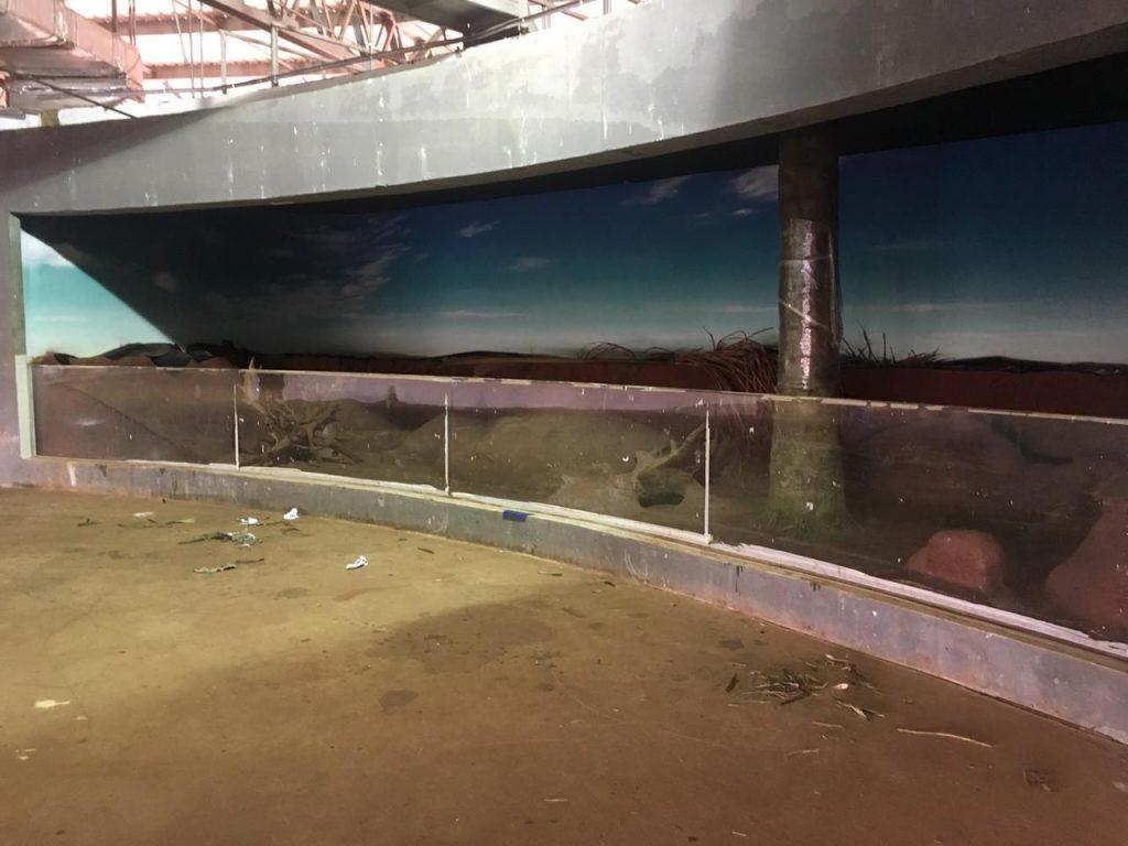 Agesul lança licitação para impermeabilização dos tanques do Aquário do Pantanal