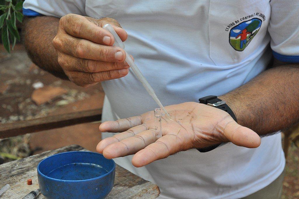 Dengue avança em Dourados com 49 casos confirmados