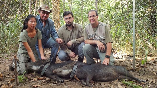 Fauna silvestre do Pantanal é monitorada em MS