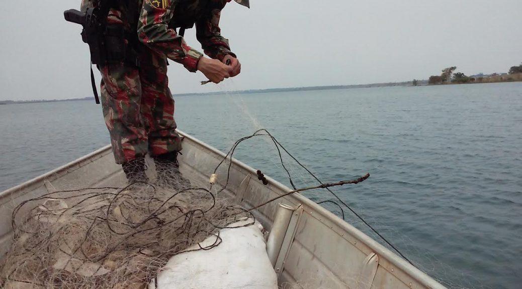 Polícia Ambiental retira um quilômetro de rede de pesca de rios e solta 17 quilos de peixes vivos