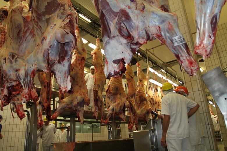 Abate de gado sobe 4,4% e soma 876,8 mil animais