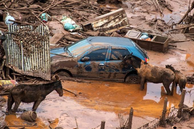 Tribunal de Contas da União vê omissão em tragédia de Mariana