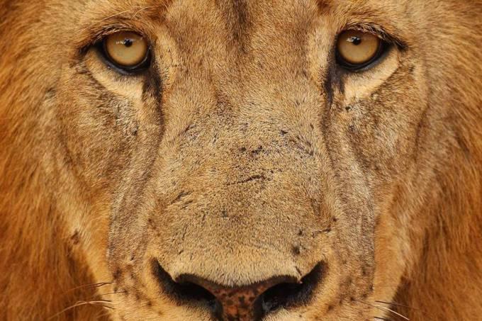 Fisco lista sonegadores com contas nos Estados Unidos