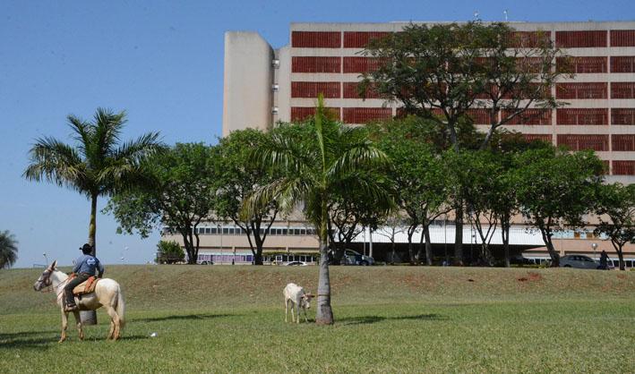Vaca escapa e invade terreno do Hospital Regional na capital