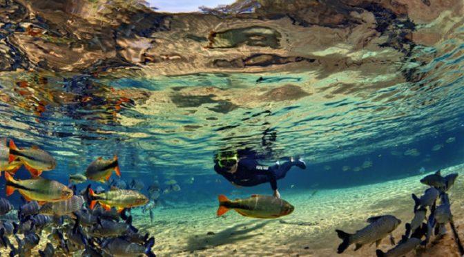 Flutuação em Jardim é a primeira do Brasil a receber certificação