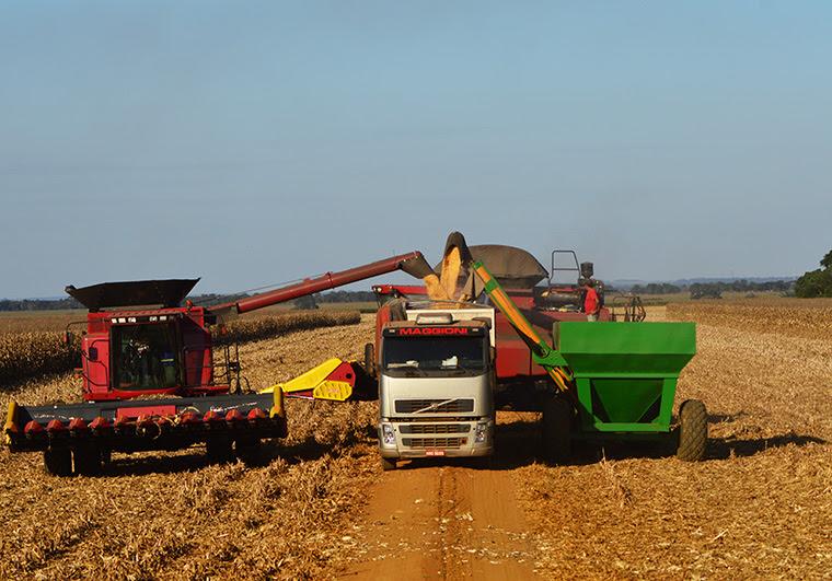 Soja e milho se mantém estáveis em setembro
