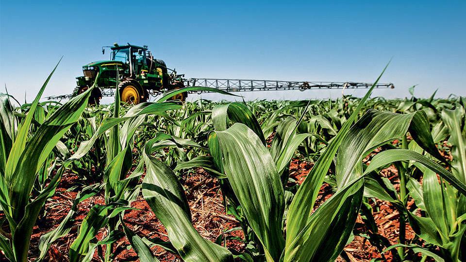 Brasil tem ilhas de prosperidade que resistem à recessão