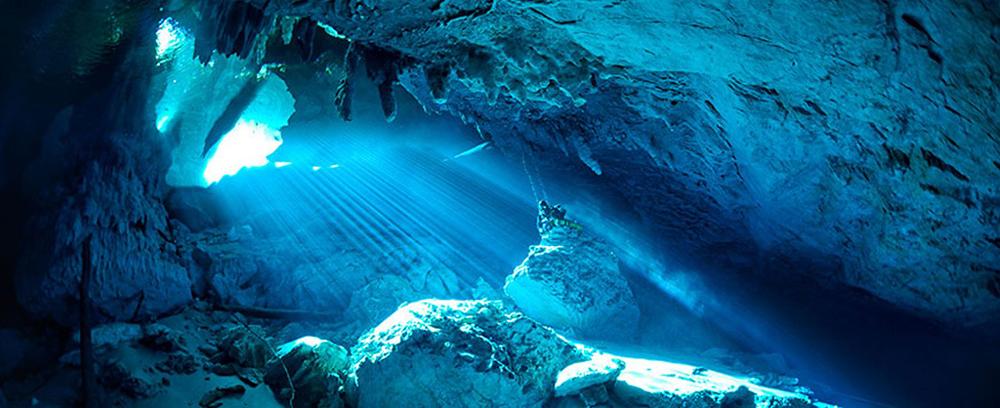 Grupo pesquisa camarão da Gruta do Lago Azul em Bonito
