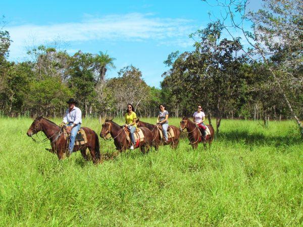 Passeio a cavalo é opção para observar natureza de Bonito