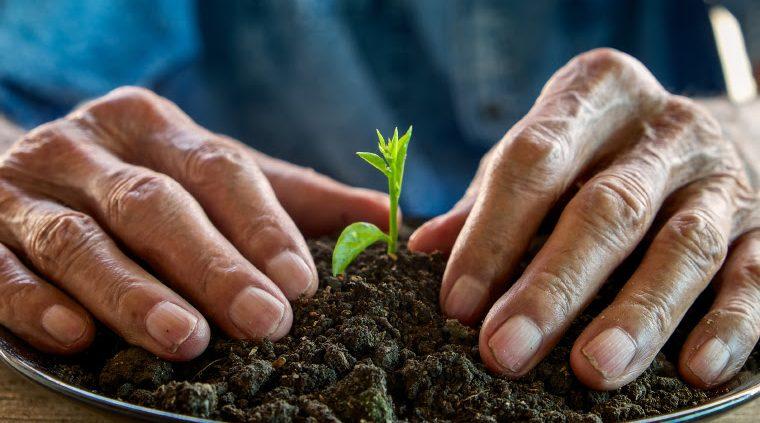 Produtores da ‘Melhor Idade’ aumentam 4% ao ano no país