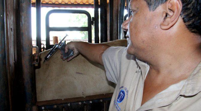 Governo lança 2ª etapa de vacinação contra febre aftosa com meta de imunizar 9,5 milhões de animais
