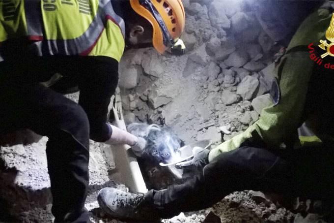 Cachorro é resgatado vivo dos escombros de terremoto na Itália