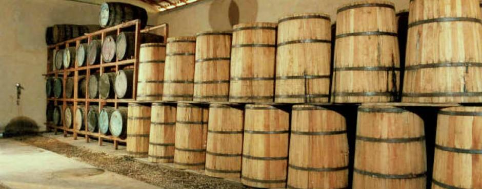 Impostos podem cair 40% com volta da cachaça