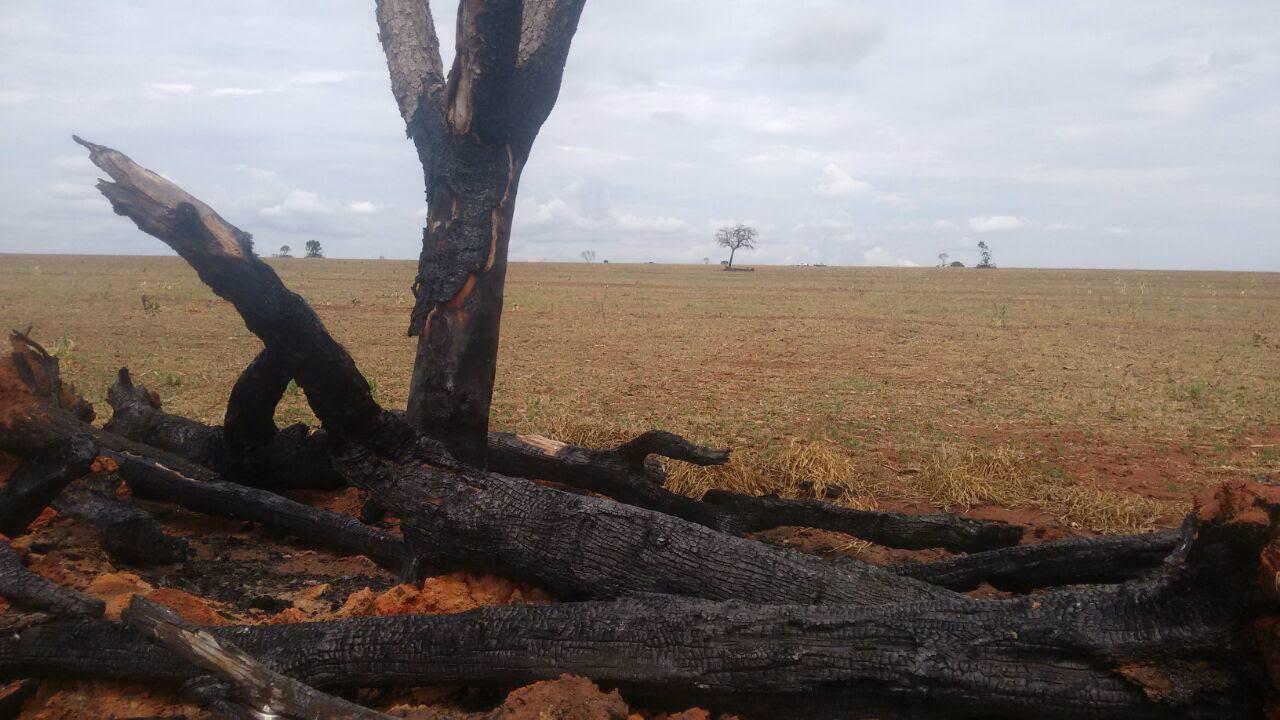 Homem é autuado em R$ 10,4 mil por incêndio ilegal