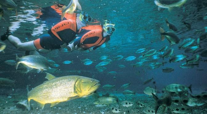 Referência nacional, Bonito tem melhor resultado no ecoturismo desde 2016