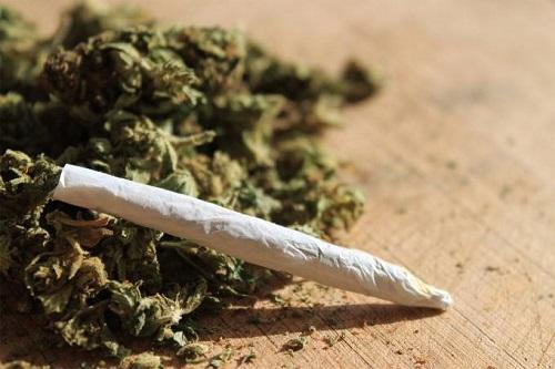 Estudo confirma associação da maconha à esquizofrenia