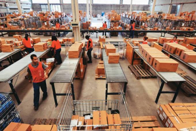 O setor que tem sorrido durante a crise