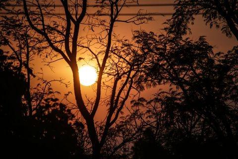 Semana começa com calor de 44°C em MS