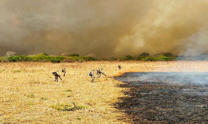 Combate aos incêndios no Pantanal mobiliza 510 homens e seis aeronaves