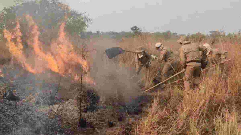 Porto Esperança conta com duas frentes de combate ao incêndio no Pantanal em MS