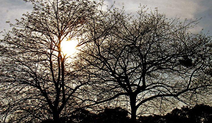 Setembro termina quente e seco; Outubro começa com chuva e temperaturas amenas