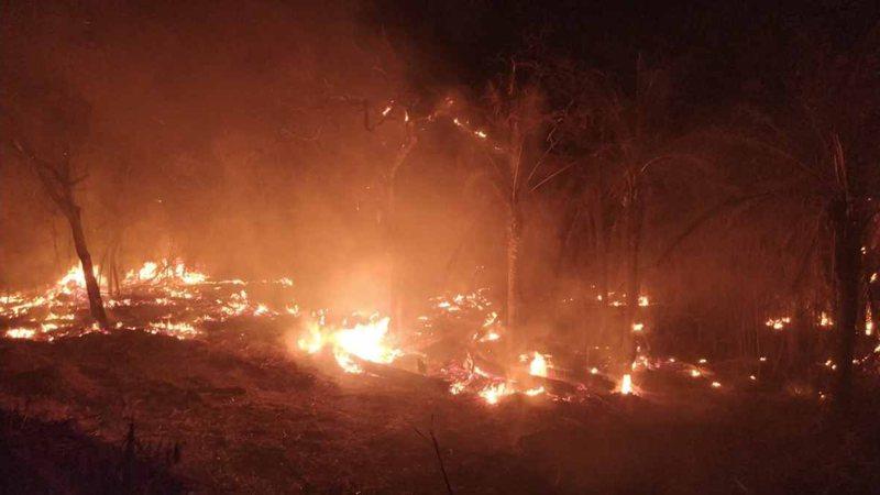 Incêndios continuam e seis aeronaves devem reforçar combate ao fogo no Pantanal