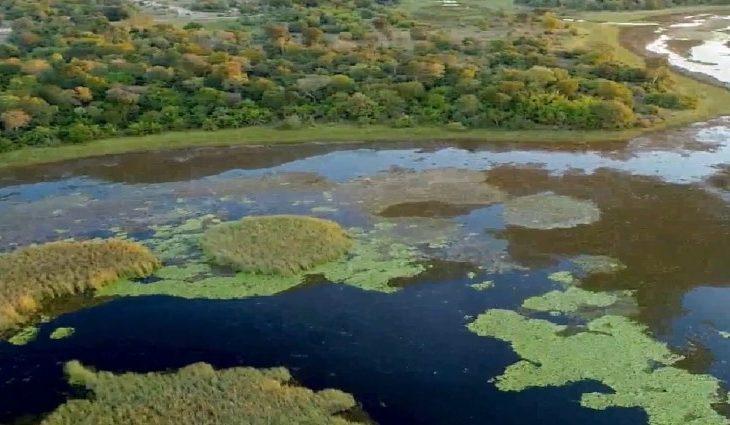 Semagro, Imasul e Instituto Homem Pantaneiro garantem ações para proteger o Pantanal