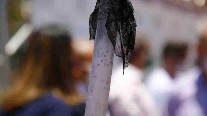 Campo Grande tem 20 milhões de 'mosquitos soldados' contra a dengue em mais de 30 bairros