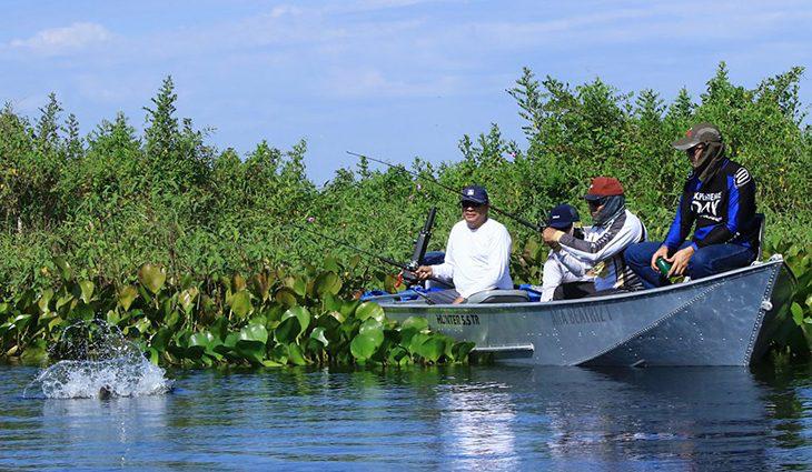 Essa é a última semana para pesca em MS
