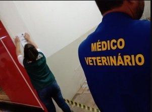 Após denúncia anônima Conselho de Medicina Veterinária recolhe 26 cães e interdita feira