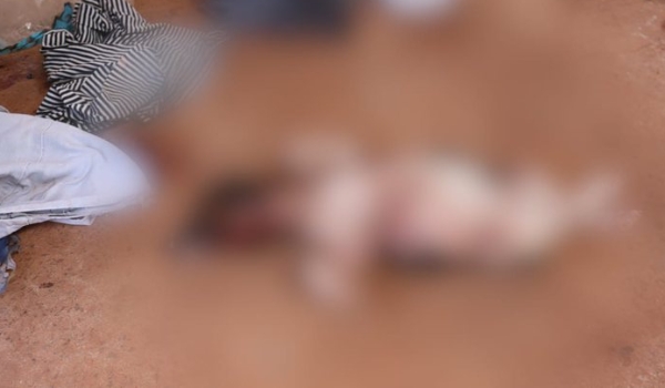 Vizinho denuncia idoso que jogou filhote de cachorro no chão e matou animal a pauladas