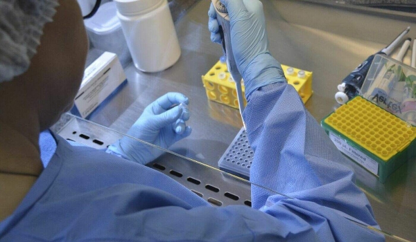 Saúde investiga se variante Darwin causou morte por H3N2