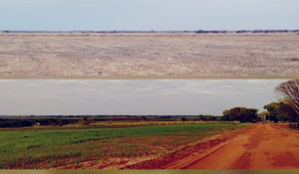 UEMS e Departamento de Agricultura dos Estados Unidos discutem pesquisas nas áreas de adubação orgânica e carbono neutro