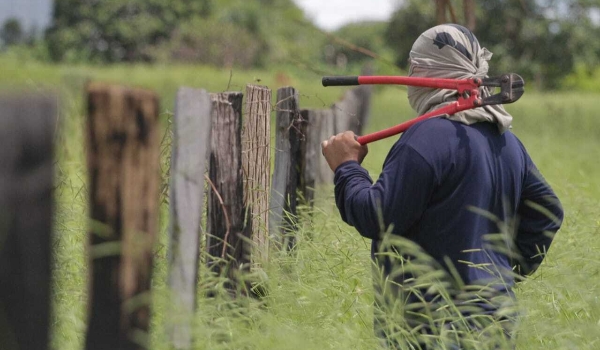 Além de furtos e abates de animais, criminosos migram outros golpes para o agro