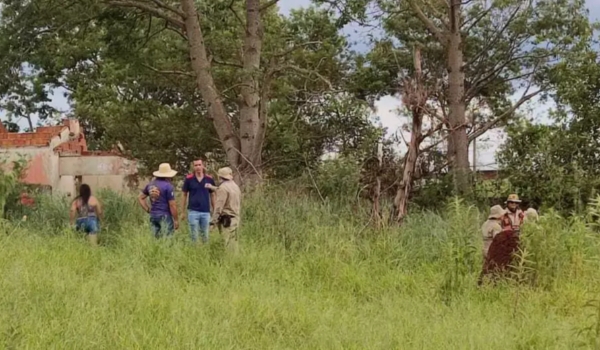 Idosa que desapareceu ao sair de mercado é encontrada morta