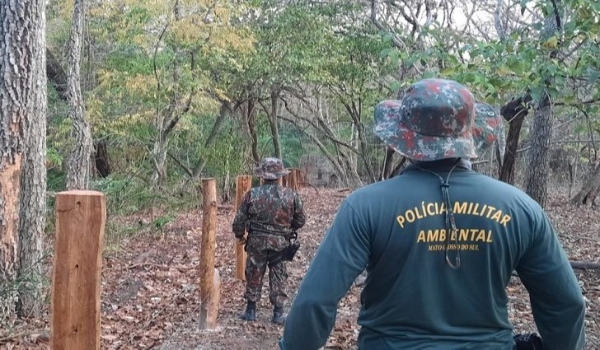 PMA autuou 1.264 pessoas e aplicou R$ R$ 38,8 milhões em multas por infrações ambientais em 2021