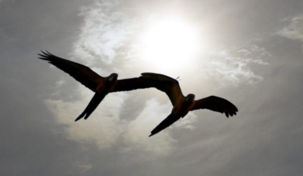 Instabilidades aumentam e Mato Grosso do Sul pode ter chuva a qualquer hora nesta quarta